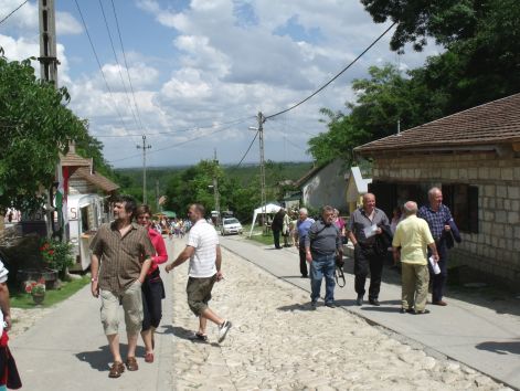 2010szolovirag_112.jpg