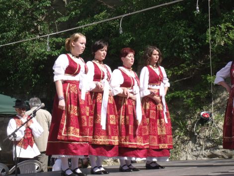 2010szolovirag_255.jpg