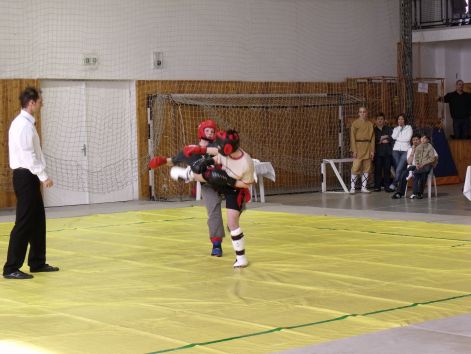 kungfu__sanda_2010_03_21_018.jpg