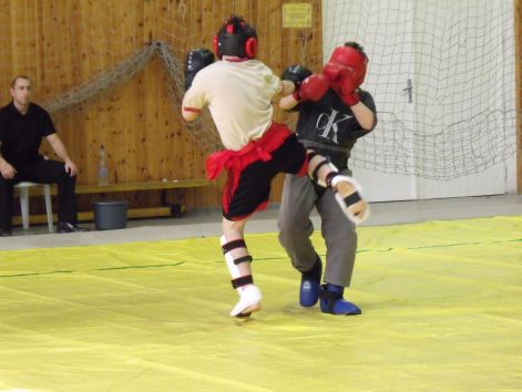 kungfu__sanda_2010_03_21_022.jpg