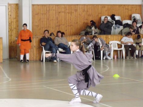 kungfu__sanda_2010_03_21_049.jpg