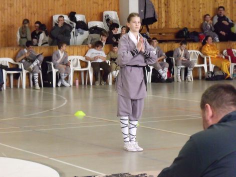 kungfu__sanda_2010_03_21_050.jpg