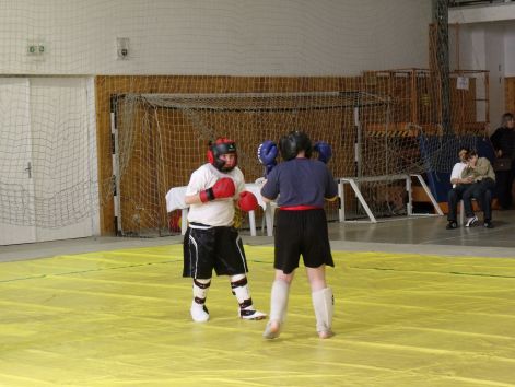 kungfu__sanda_2010_03_21_100.jpg