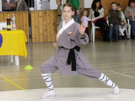 kungfu__sanda_2010_03_21_128.jpg