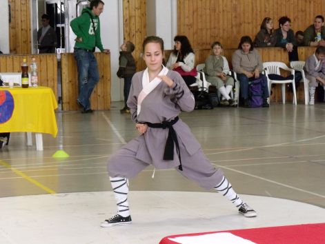 kungfu__sanda_2010_03_21_133.jpg