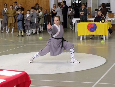 kungfu__sanda_2010_03_21_143.jpg