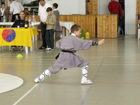 kungfu__sanda_2010_03_21_148.jpg