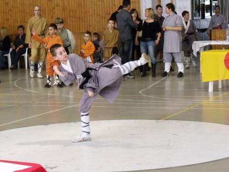 kungfu__sanda_2010_03_21_155.jpg