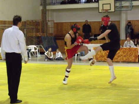 kungfu__sanda_2010_03_21_230.jpg