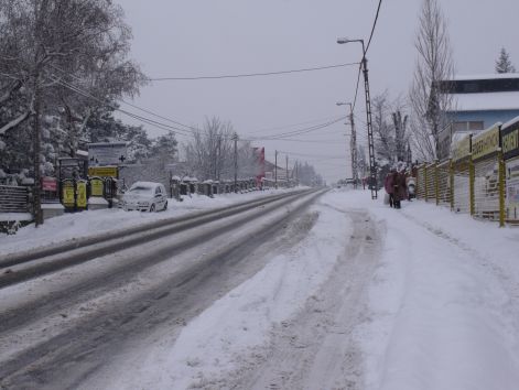 pv20100130_014.jpg